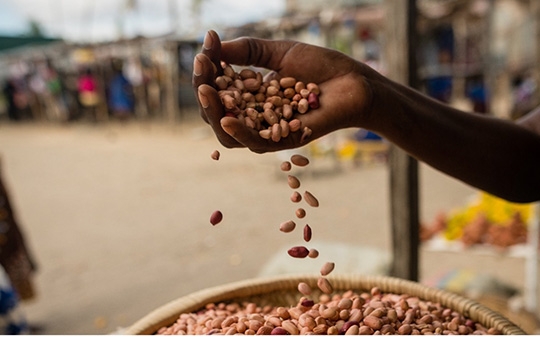 Alat Keputusan Ekonomi Politik untuk Jalur Sistem Pangan