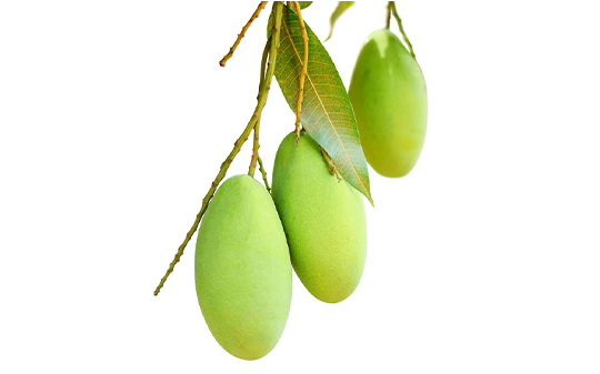 Meningkatkan Produksi Pohon Buah untuk Meningkatkan Ketahanan Pangan, Gizi, dan Lingkungan di Rwanda